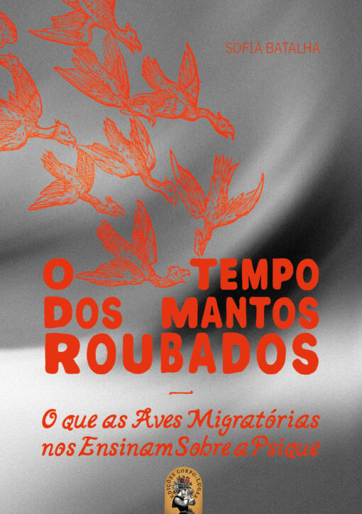 O Tempo dos Mantos Roubados