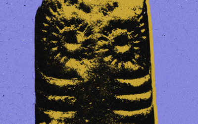 Se queres sentir a terra, vais sentir o luto