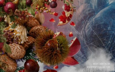 Martinho que Acendeu o Coração da Terra