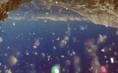 Oráculo da Matéria que Sabe Cair