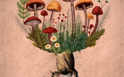 Investigação-Oração