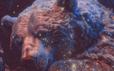 O Inominado e o Urso