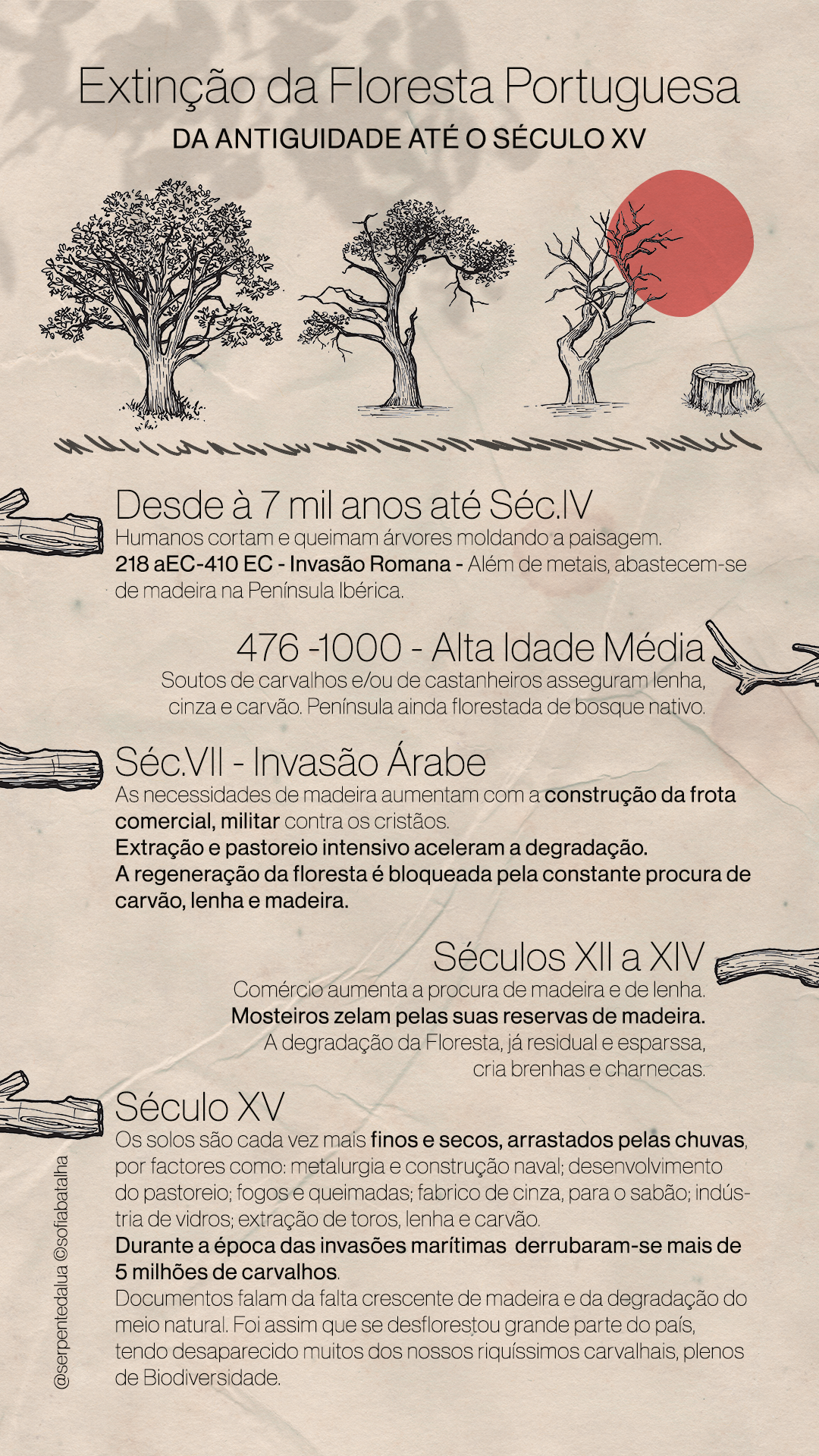 forest infographic_V2