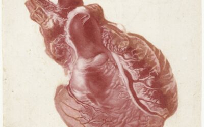 E se a Consciência Arranhar?