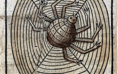 As Aranhas Ouvideiras