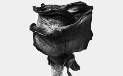 Sintoma e Oráculo