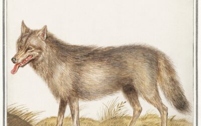 O Julgamento dos Vivos e dos Mortos