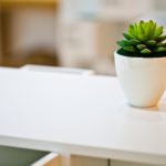 Receitas e Feng Shui